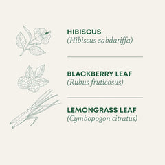 Herbal Tea Sampler