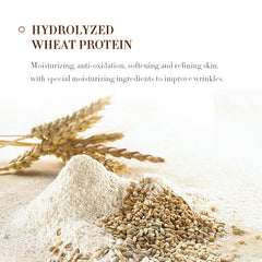 Premium belly butter